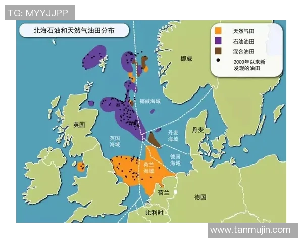 英超球队老板的影响力与管理模式